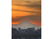 【東京都/練馬区下石神井】ライオンズグローベル石神井公園 眺望：ズームあり