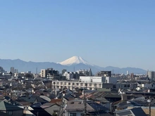 【東京都/練馬区下石神井】ライオンズグローベル石神井公園 眺望：ズームあり