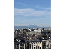 【東京都/練馬区下石神井】ライオンズグローベル石神井公園 眺望：ズームなし