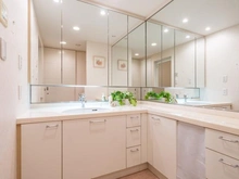 【東京都/西東京市谷戸町】グランジオ武蔵野 洗面室