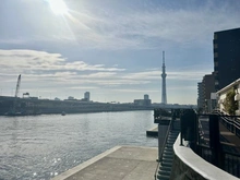 【東京都/台東区橋場】カーサ浅草桜橋 白髭橋（現地より約400m）
