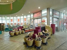 【東京都/文京区本郷】オープンレジデンシア本郷の杜 成城石井 東京ドームラクーア店（現地より約1,000m）