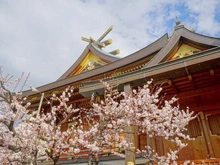 【東京都/文京区本郷】オープンレジデンシア本郷の杜 湯島天神（現地より約500m）