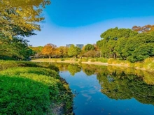 【東京都/文京区本郷】オープンレジデンシア本郷の杜 北の丸公園（現地より約2,500m）