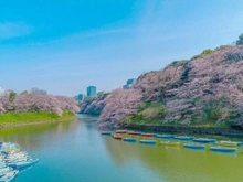 【東京都/文京区本郷】オープンレジデンシア本郷の杜  千鳥ヶ淵公園（現地より約3,100m）