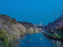 【東京都/文京区本郷】オープンレジデンシア本郷の杜  千鳥ヶ淵公園（現地より約3,100m）