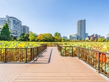 【東京都/台東区上野】デュオ・スカーラ上野 上野恩賜公園（現地より約600m）