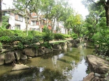 【東京都/江戸川区中央】サンクレイドル新小岩親水公園II 新小岩親水公園（現地より約60m）