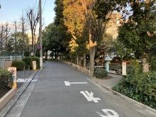 【東京都/江戸川区松島】グリーンコーポ江戸川親水公園 前面道路