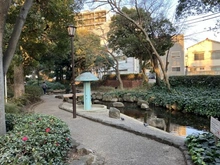 【東京都/江戸川区松島】グリーンコーポ江戸川親水公園 小松川境川親水公園（現地より約10m）