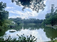 【埼玉県/さいたま市大宮区吉敷町】ウェリス大宮 大宮公園（現地より約1,900m）