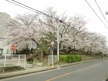 【埼玉県/さいたま市南区文蔵】ヒルズ南浦和パークグランステージ  一ツ木公園（現地より約30m）：