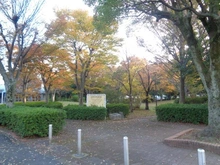 【神奈川県/秦野市鶴巻南】鶴巻ガーデンシティひかりの街　A号棟 敷地内施設：ひかりのまち公園