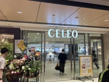 【東京都/八王子市横山町】ウィルローズ八王子  セレオ八王子（現地より約600m）