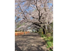 【東京都/日野市多摩平】プラウドシティ豊田多摩平の森 B棟 旭が丘中央公園（現地より約1,900m）