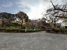 【神奈川県/横浜市西区宮崎町】プレシス横濱紅葉坂 掃部山公園（現地より約220m）