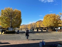 【東京都/立川市曙町】ザ・パークハウス立川  国営昭和記念公園（現地より約1,800m）