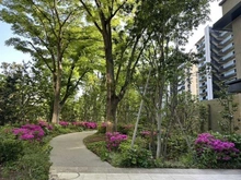 【東京都/日野市多摩平】プラウドシティ豊田多摩平の森 A棟 共用部：植栽