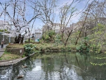 【東京都/日野市多摩平】プラウドシティ豊田多摩平の森 A棟 黒川清流公園（現地より約50m）