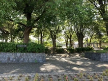 【東京都/日野市大字日野】ベレッサ甲州街道駅ステーシア 市民の森スポーツ公園（現地より約450m）