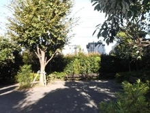 【東京都/府中市武蔵台】レクセルガーデン西国分寺 敷地内：敷地内広場