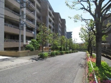 【東京都/八王子市大塚】エフヴェール・ヒルズ エアリーコート 前面道路
