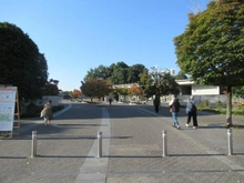 【東京都/立川市曙町】ベルシャトゥ立川 国営昭和記念公園（現地より約540m）：