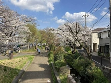 【東京都/立川市錦町】サンクレイドル立川錦町 立川公園（現地より約750m）：