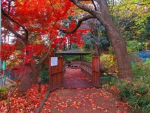 【東京都/日野市多摩平】プラウドシティ豊田多摩平の森 B棟 黒川清流公園（現地より約50m）：