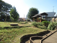 【東京都/世田谷区奥沢】ピアース自由ヶ丘レジデンス 世田谷区立ねこじゃらし公園（現地より約370m）