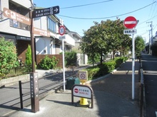【東京都/世田谷区奥沢】ピアース自由ヶ丘レジデンス 九品仏川緑道（現地より約80m）
