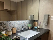 【東京都/板橋区坂下】クレストフォルム蓮根城北公園 洗面室