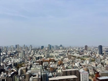 【大阪府/大阪市天王寺区筆ケ崎町】上本町ヒルズマーク 眺望