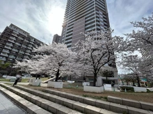 【大阪府/大阪市天王寺区筆ケ崎町】上本町ヒルズマーク 外観