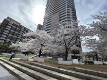 【大阪府/大阪市天王寺区筆ケ崎町】上本町ヒルズマーク 外観