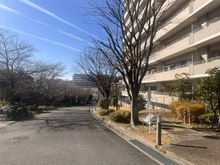 【大阪府/枚方市伊加賀北町】枚方ガーデンアイランズC棟 前面道路