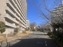 【大阪府/枚方市伊加賀北町】枚方ガーデンアイランズC棟 前面道路