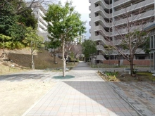 【大阪府/枚方市伊加賀北町】枚方ガーデンアイランズC棟 敷地内：フォレストガーデン（共用部）