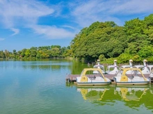 【東京都/大田区上池台】ドレッセ洗足池  洗足池公園（現地より約200m）