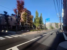 【東京都/文京区小石川】ディアナコート小石川播磨坂レジデンス  窪町東公園（ちびっこ広場）（現地より約410m）