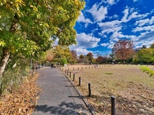 【東京都/目黒区中目黒】ピアース中目黒ローレルアイ  中目黒公園（現地より約350m）