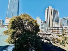 【東京都/港区芝公園】ザ・パークハウス芝公園 眺望：バルコニーから