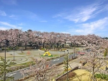 【東京都/西東京市向台町】ヴィーガーデン　ザ・レジデンス Bサルーン おおぞら公園（現地より約80m）