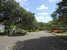 【東京都/西東京市向台町】ヴィーガーデン　ザ・レジデンス Bサルーン 都立小金井公園（現地より約620m）