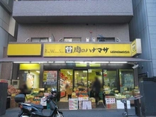 【東京都/港区赤坂】パークハウス赤坂氷川 肉のハナマサ赤坂店（現地より約500m）：