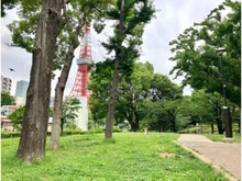 【東京都/港区六本木】ザ・レジデンス六本木 港区立芝公園（現地より約1,700m）：増上寺と芝東照宮の間に位置し、背後には東京タワーが望める芝生広場を中心とした開放的な公園。