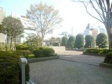 【東京都/港区南青山】南青ハイツ 敷地内