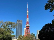 【東京都/港区虎ノ門】パークコート虎ノ門愛宕タワー 東京タワー（現地より約850m）