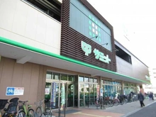 【東京都/世田谷区野沢】ヒルズ学芸大学 サミットストア駒沢龍雲寺店（現地より約600m）：
