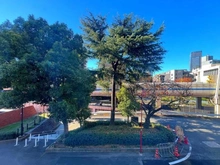 【東京都/港区麻布台】アトラス麻布台 眺望